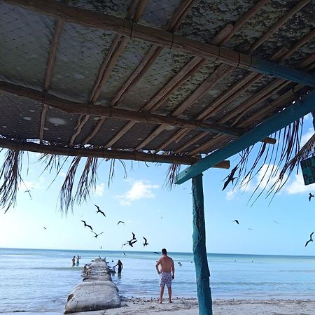 Mi Habitat Holbox-Maravilla Natural Kültér fotó