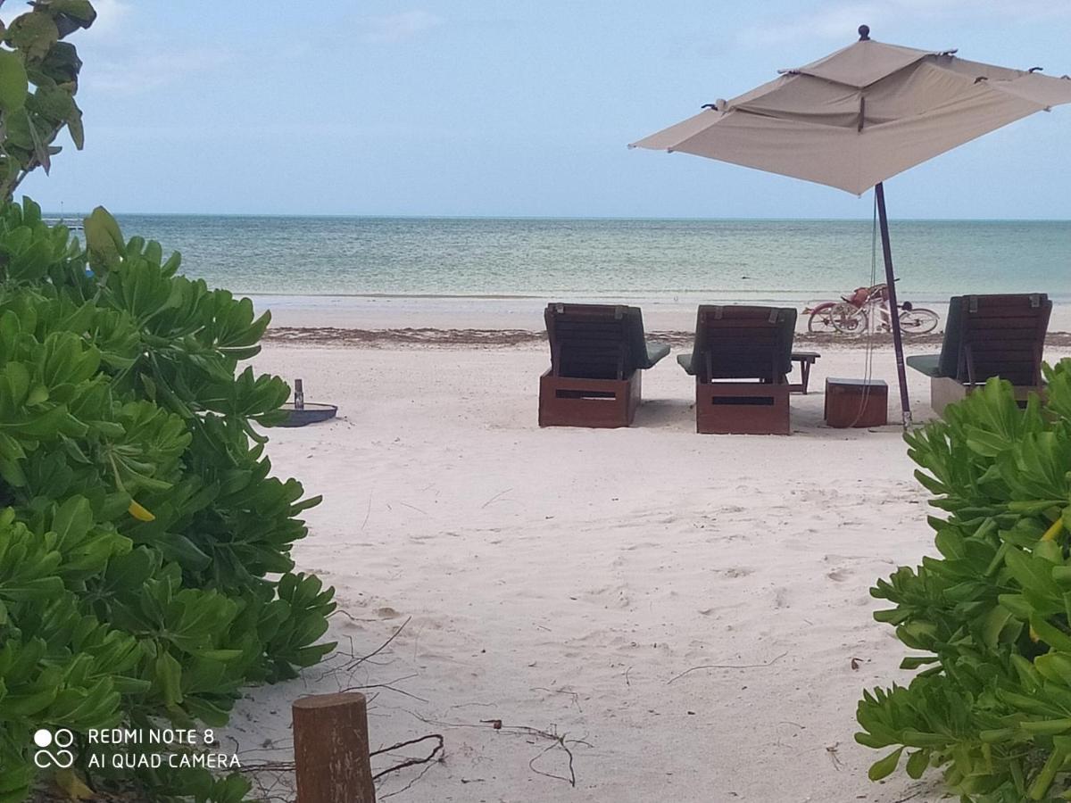 Mi Habitat Holbox-Maravilla Natural Kültér fotó