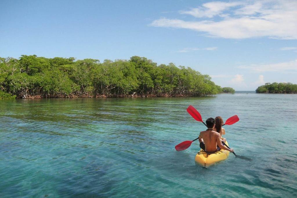 Mi Habitat Holbox-Maravilla Natural Kültér fotó