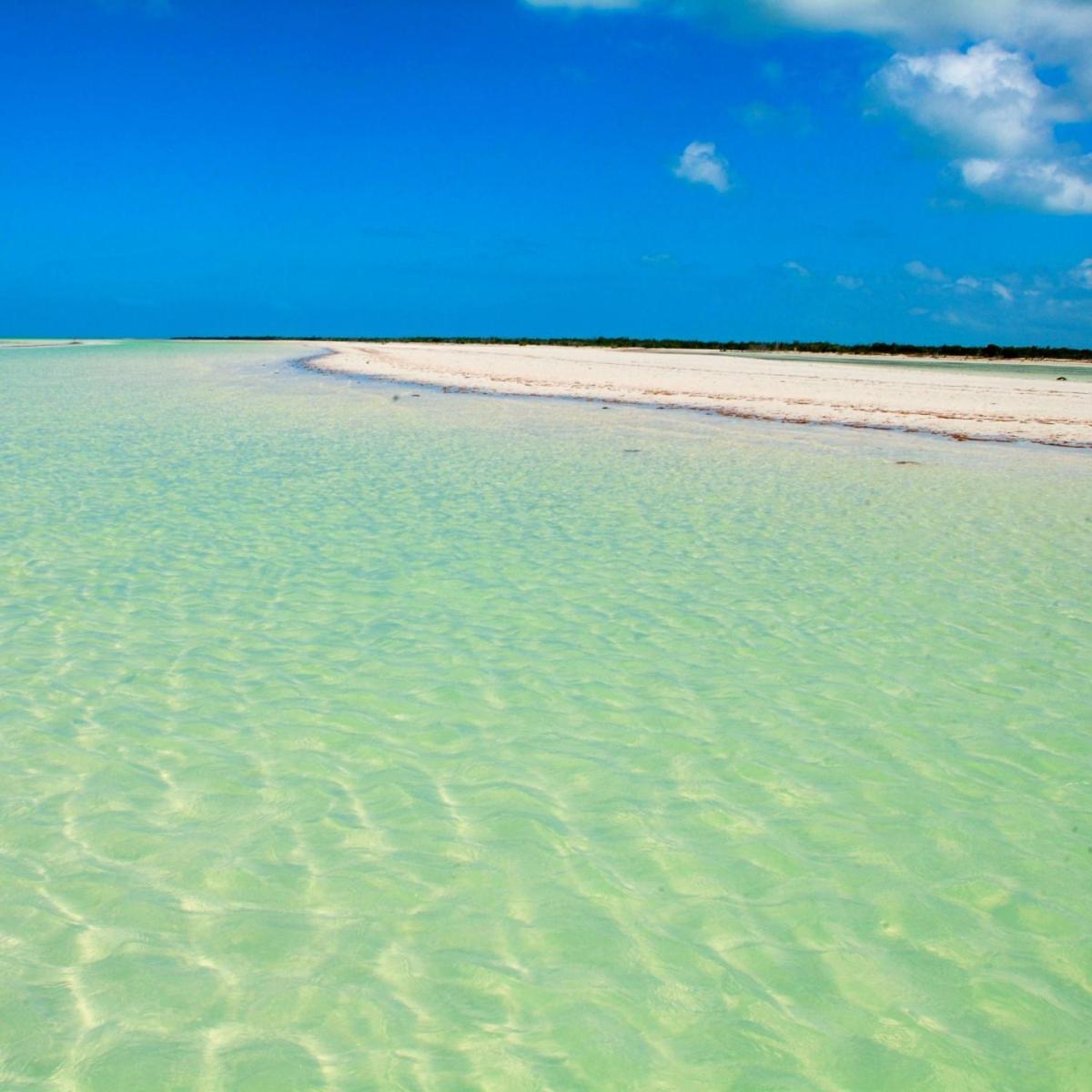Mi Habitat Holbox-Maravilla Natural Kültér fotó