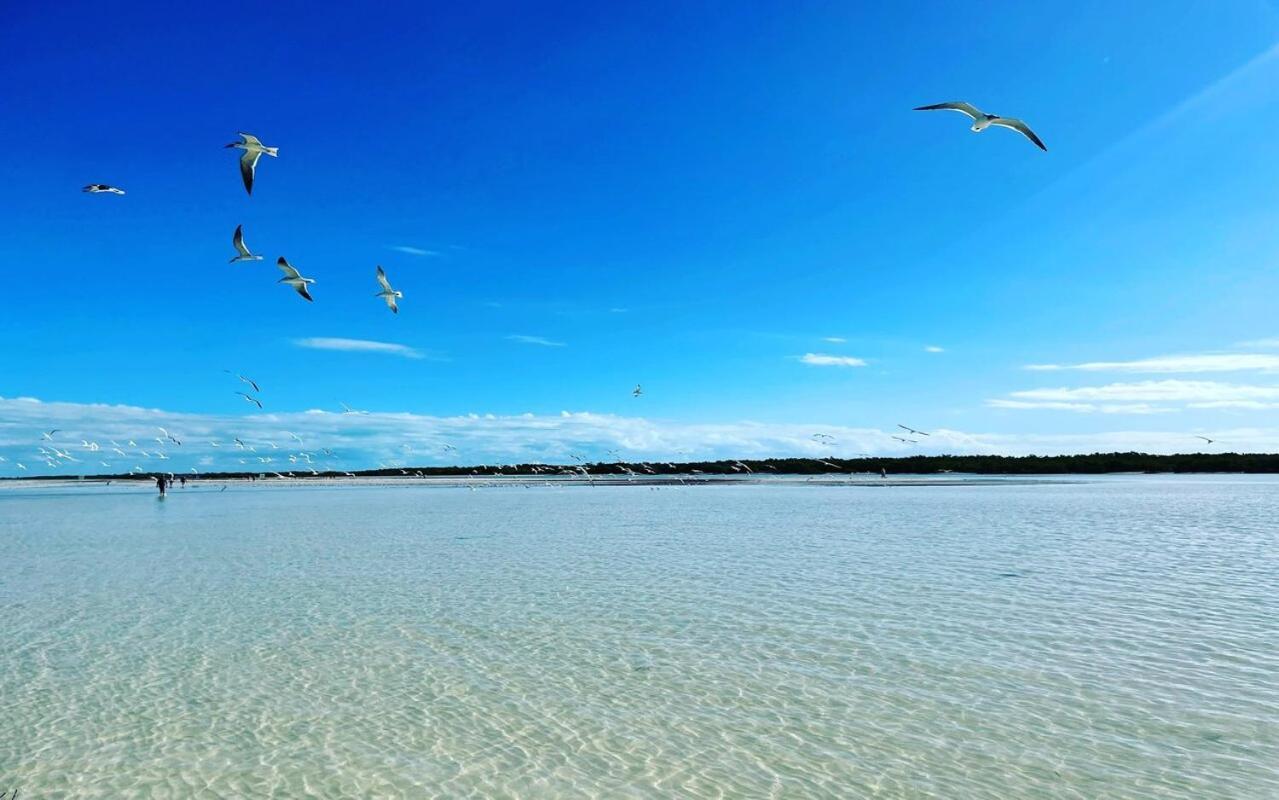 Mi Habitat Holbox-Maravilla Natural Kültér fotó