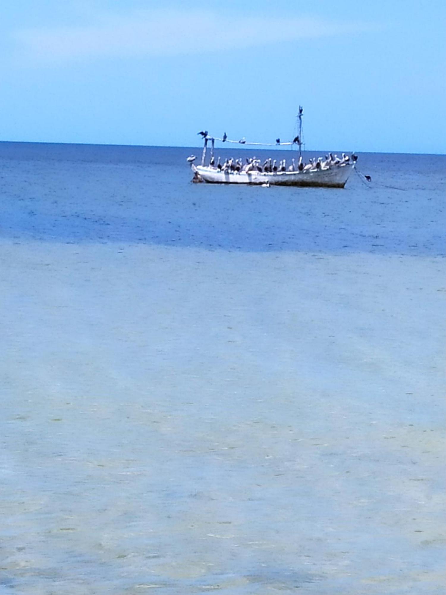 Mi Habitat Holbox-Maravilla Natural Kültér fotó