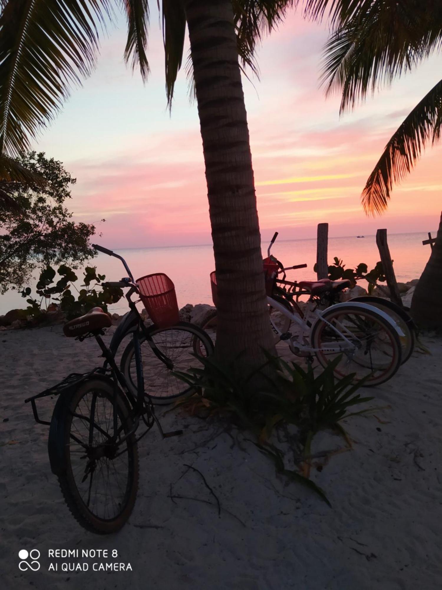 Mi Habitat Holbox-Maravilla Natural Kültér fotó
