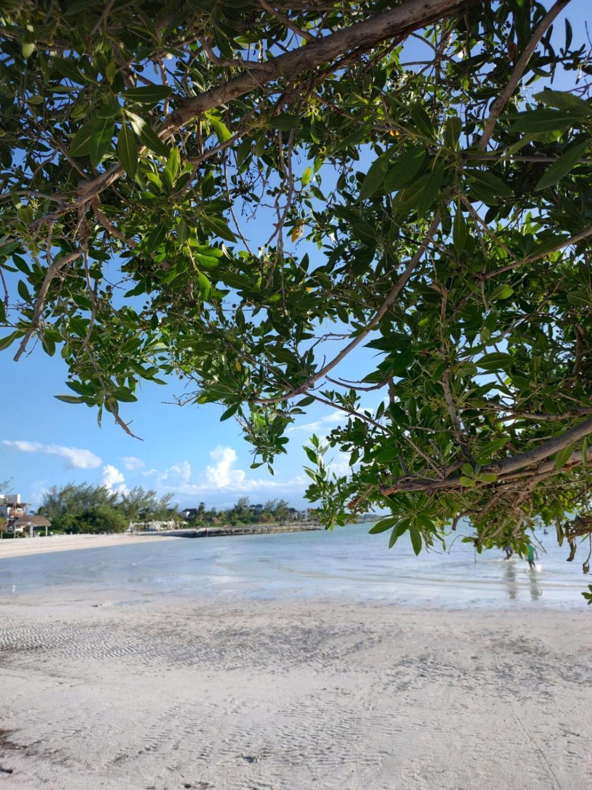 Mi Habitat Holbox-Maravilla Natural Kültér fotó