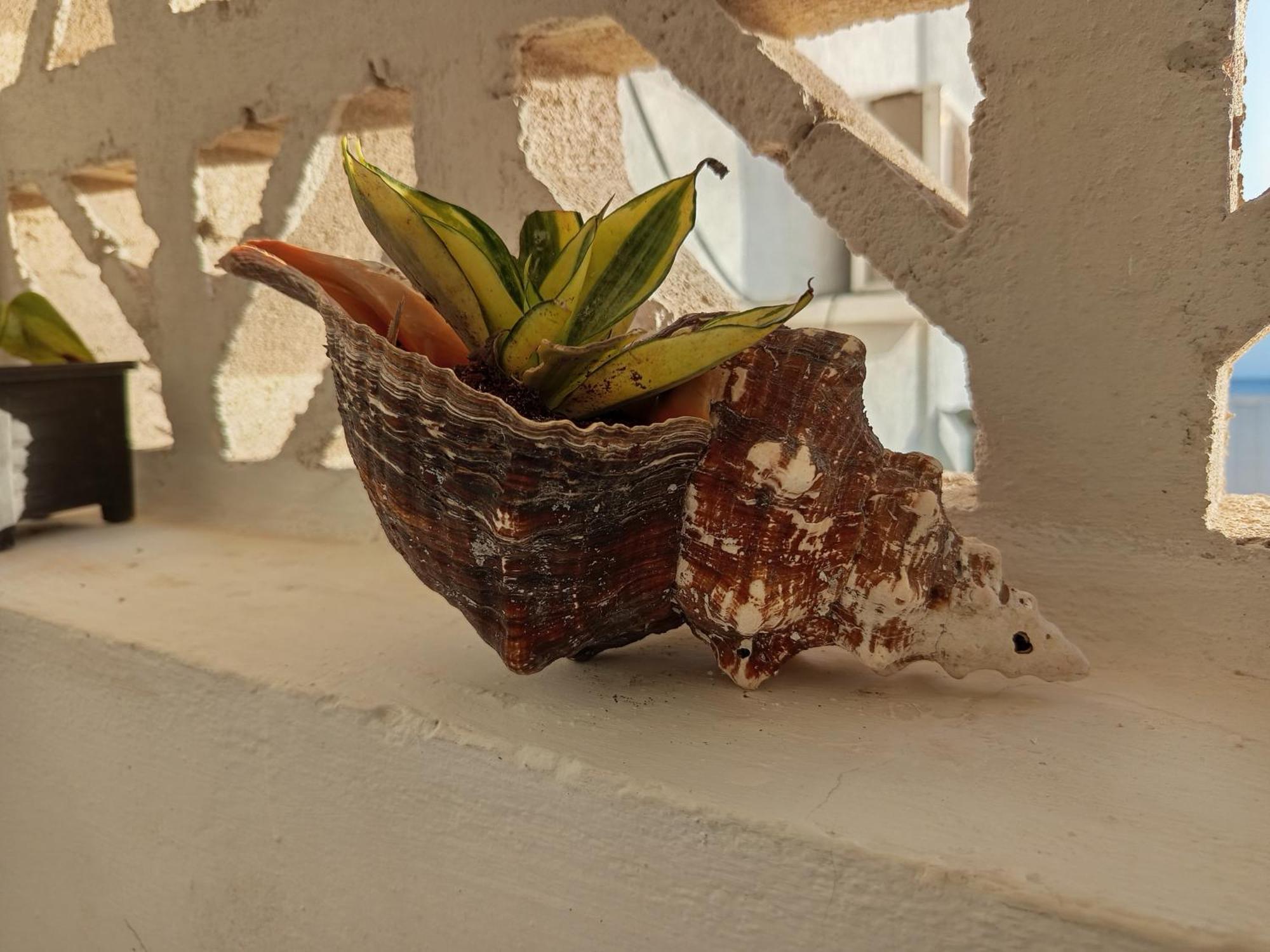 Mi Habitat Holbox-Maravilla Natural Kültér fotó