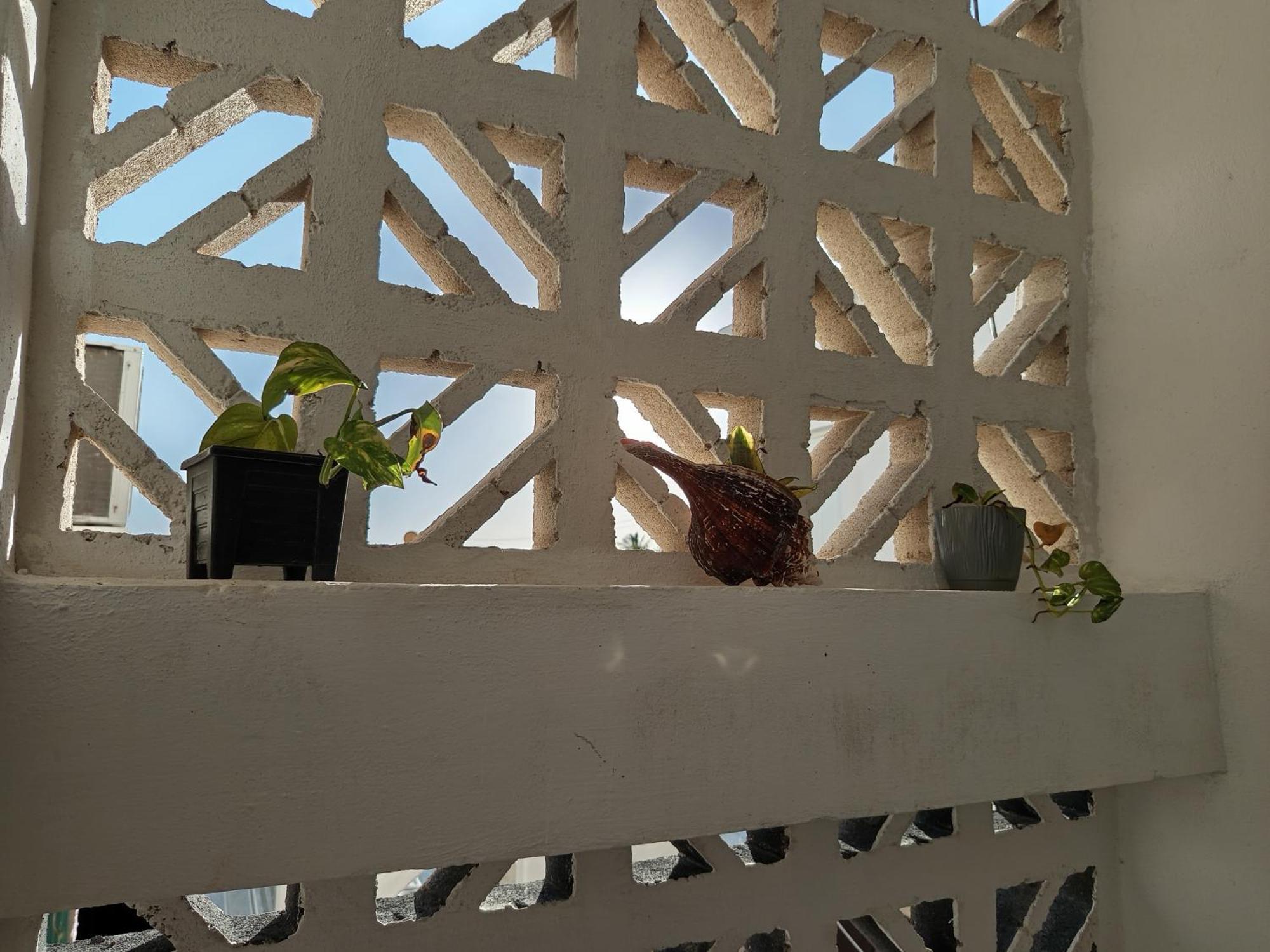 Mi Habitat Holbox-Maravilla Natural Kültér fotó