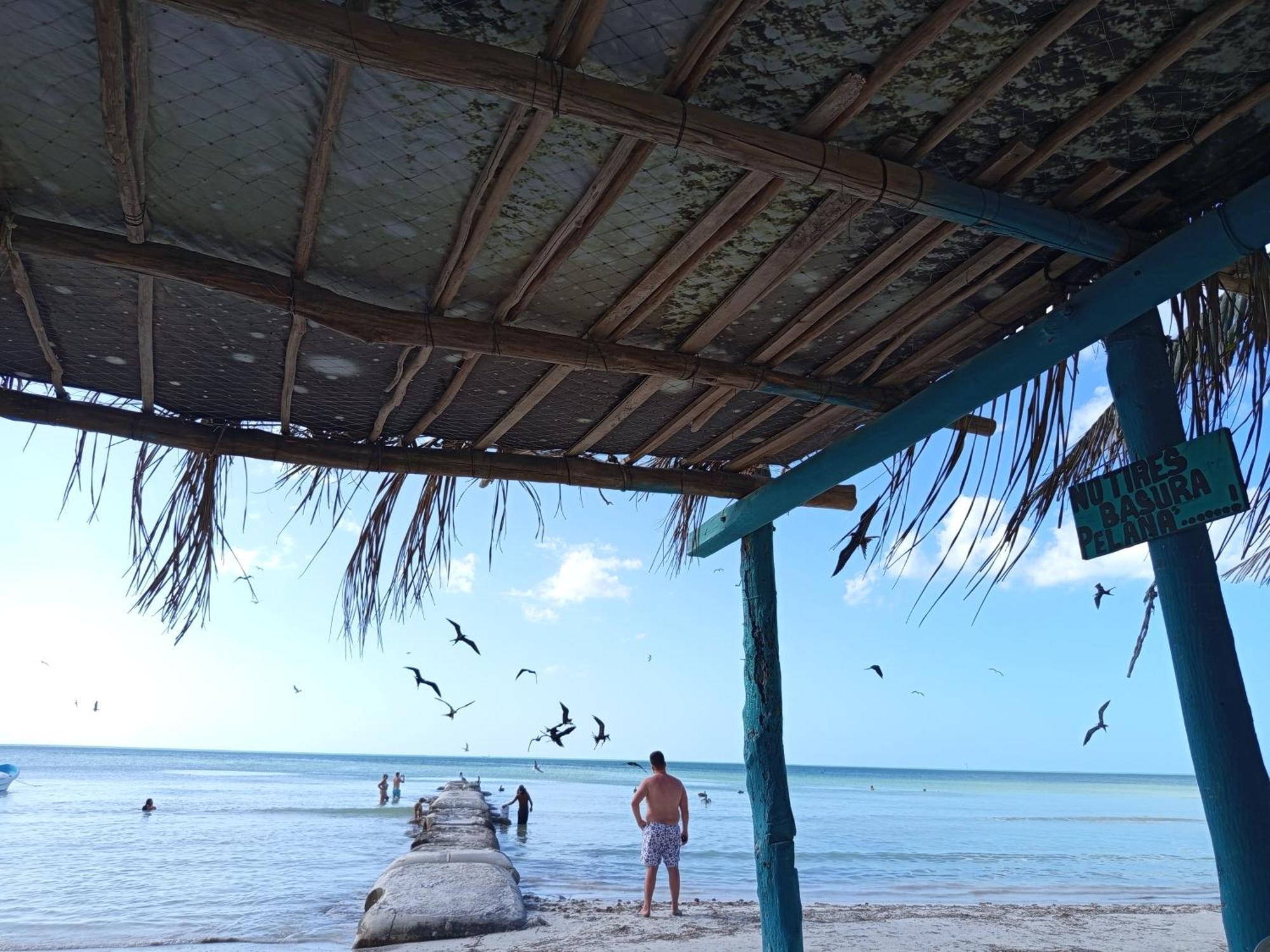 Mi Habitat Holbox-Maravilla Natural Kültér fotó